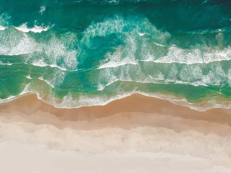 Cover Image for Finding Calmness in Nature: The Therapeutic Effects of Shoreline Environments