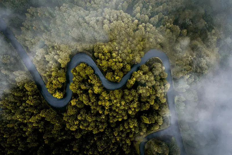 Cover Image for Finding Peace Above the Clouds: The Healing Power of Nature