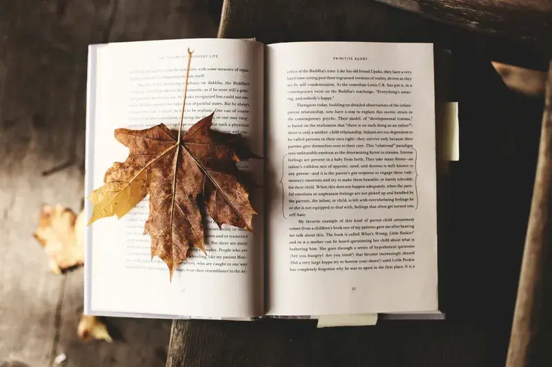 Cover Image for Finding Balance: The Intersection of Mindfulness and Nature in Everyday Life