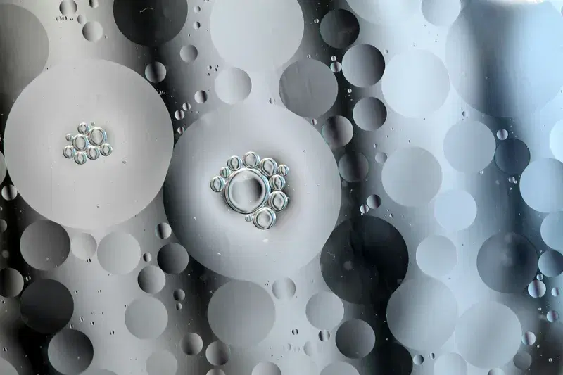 Cover Image for The Beauty of Nature: How Water Droplets Inspire Mindfulness