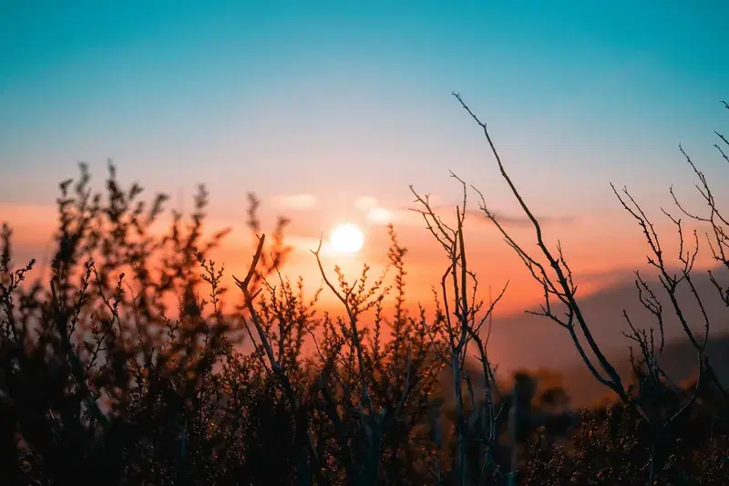 Cover Image for The Beauty of Sunsets: Mindfulness and Connection with Nature