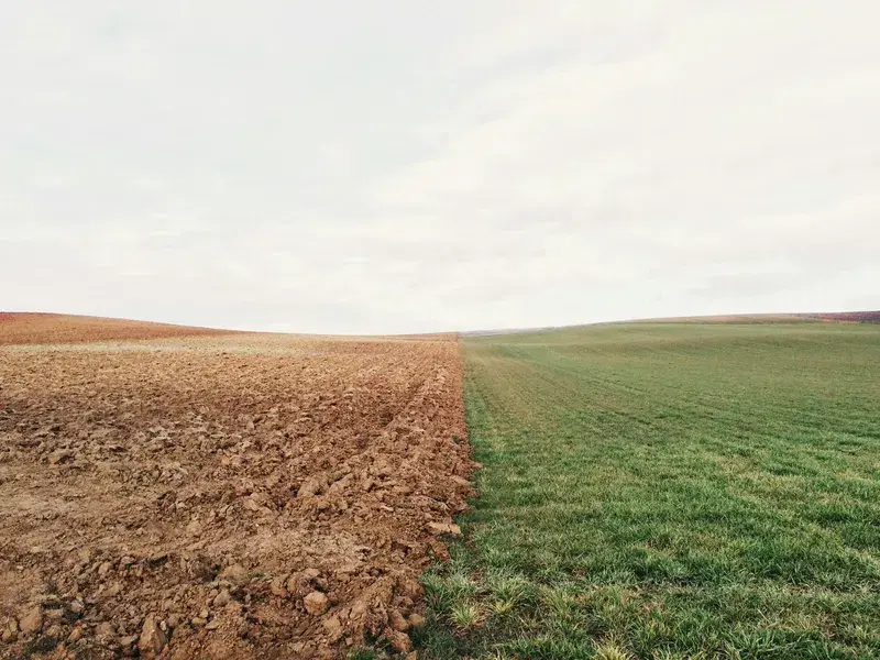 Cover Image for The Benefits of Connecting with Nature for Your Well-Being