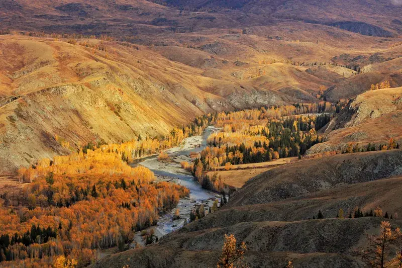 Cover Image for The Benefits of Mindfulness in Nature: Embracing Wilderness