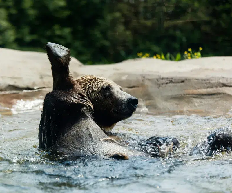 Cover Image for The Benefits of Connecting with Nature: Embracing Eco-Friendly Living