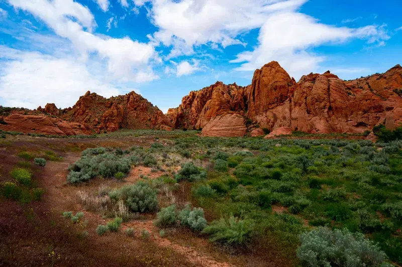 Cover Image for Connecting with Nature: The Benefits of Hiking for Wellness