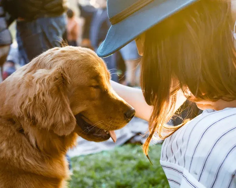 Cover Image for The Benefits of Pet Companionship for Mental Wellness