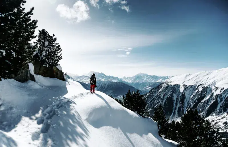 Cover Image for The Benefits of Walking in Nature: Finding Mindfulness on Snowy Trails