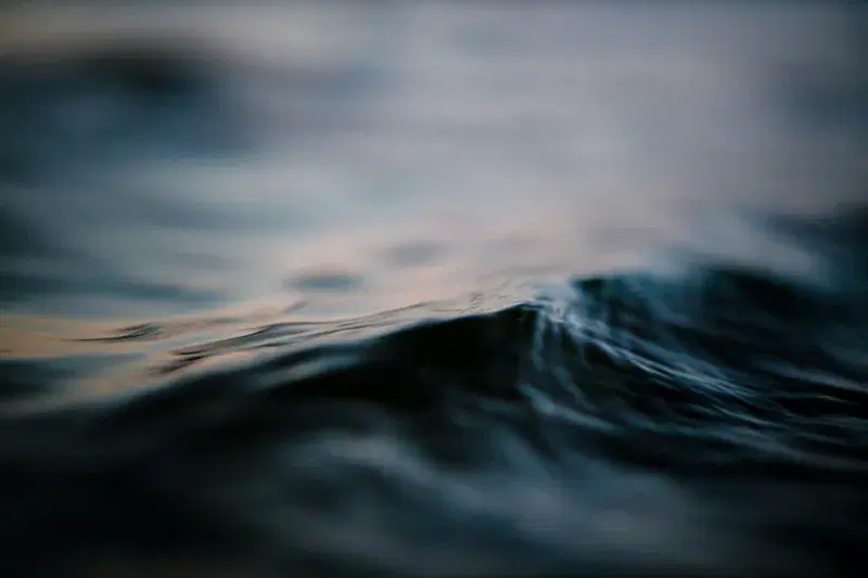 Cover Image for The Benefits of Water: Mindfulness and Wellness by the Shoreline