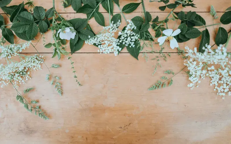 Cover Image for The Benefits of Bringing Nature Indoors: Enhancing Wellness with Floral Decor