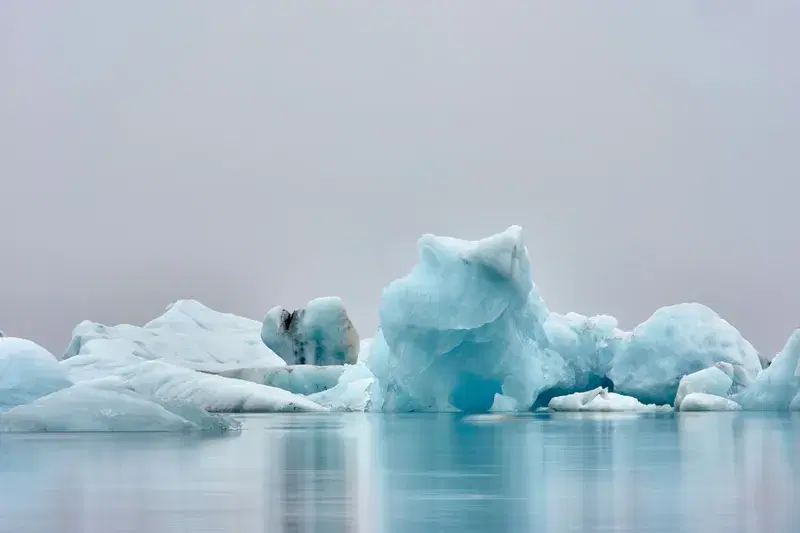 Cover Image for Finding Calm in the Rain: The Therapeutic Benefits of Nature Photography