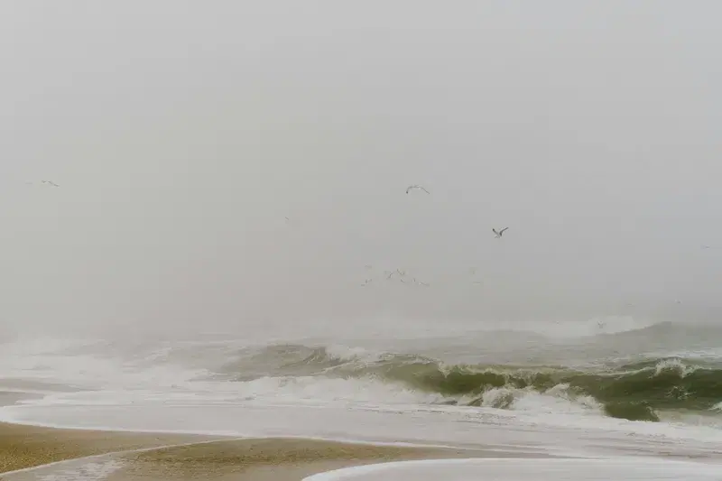 Cover Image for Finding Calm in Nature: The Therapeutic Benefits of Coastal Environments