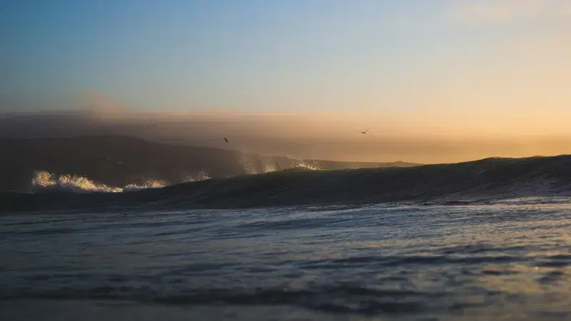 Cover Image for The Calming Effects of Ocean Scenery on Mental Health