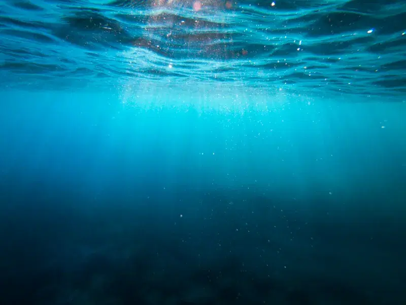 Cover Image for The Calming Effects of Underwater Environments on Mental Health