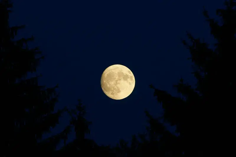 Cover Image for Connecting with Nature: The Beauty of Lunar Eclipses