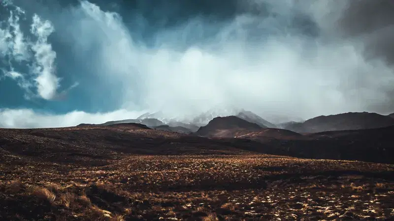 Cover Image for Connecting with Nature: Mindfulness Practices on the Tongariro Road