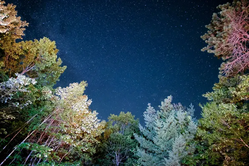 Cover Image for Connecting with Nature: The Wellness Benefits of Camping Under the Stars