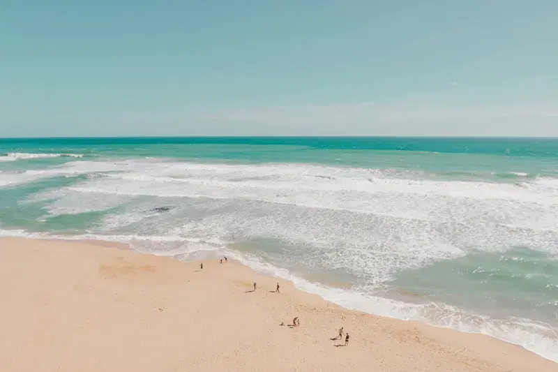 Cover Image for Embracing Nature: The Wellness Benefits of Beach Environments