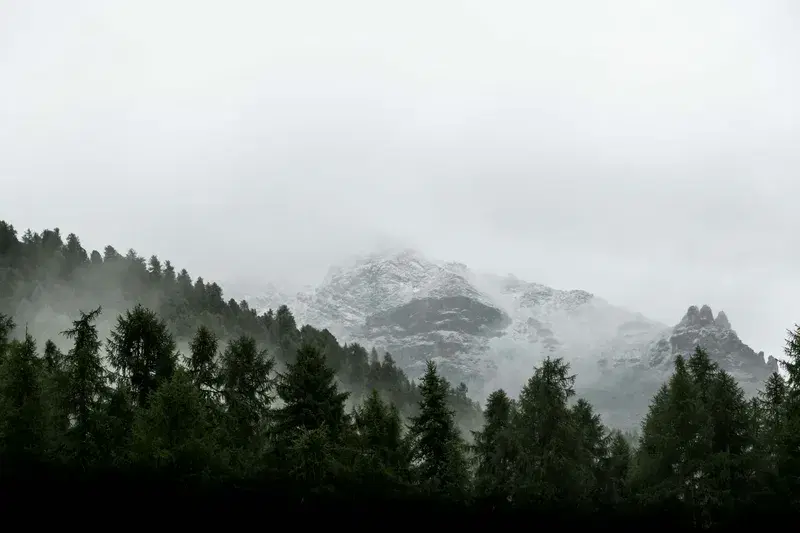 Cover Image for Embracing Nature: The Benefits of Outdoor Mindfulness