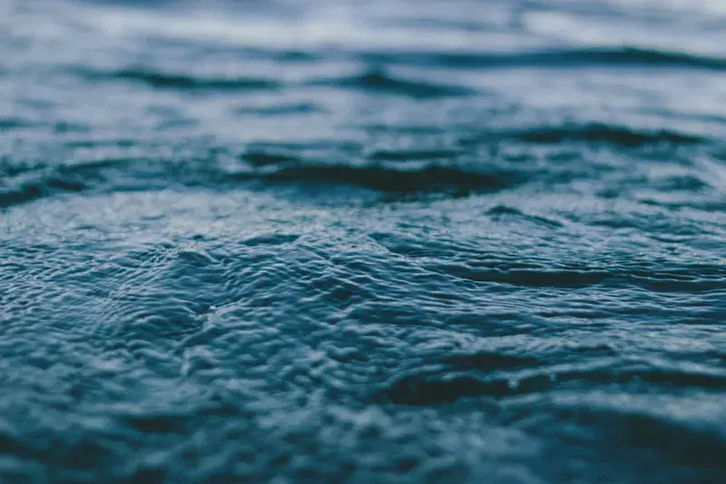 Cover Image for Embracing Nature: The Benefits of Water Bodies for Mental Wellness