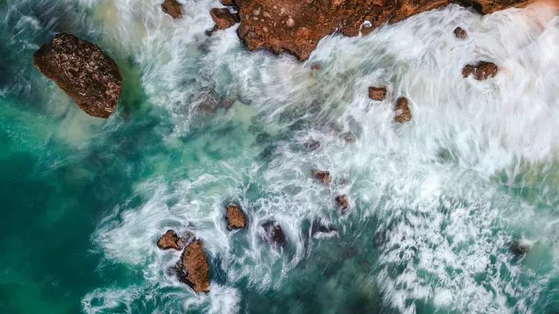 Cover Image for Embracing Nature: The Benefits of Coastal Environments on Mental Wellness