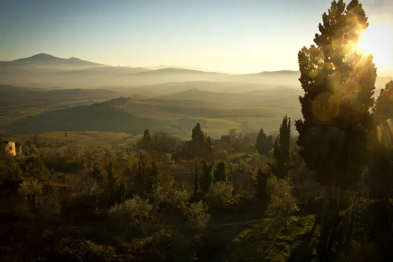 Cover Image for Embracing Nature: How Early Spring in Val d'Orcia Can Boost Your Well-Being