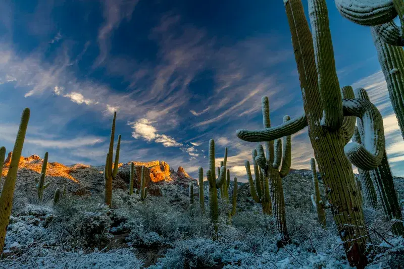 Cover Image for Embracing Nature: The Benefits of Eco-Friendly Living