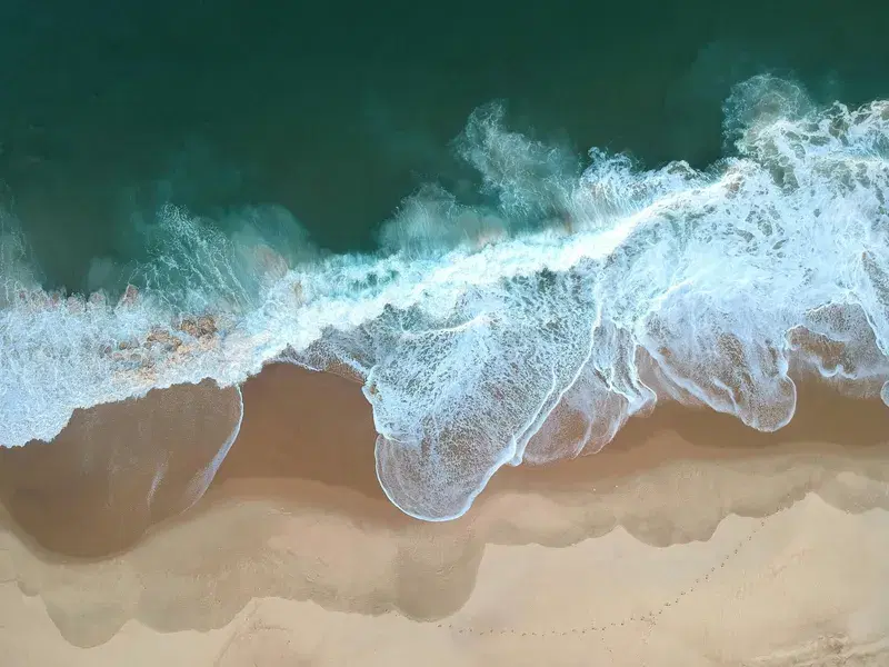 Cover Image for Embracing Nature: Finding Mindfulness by the Sea
