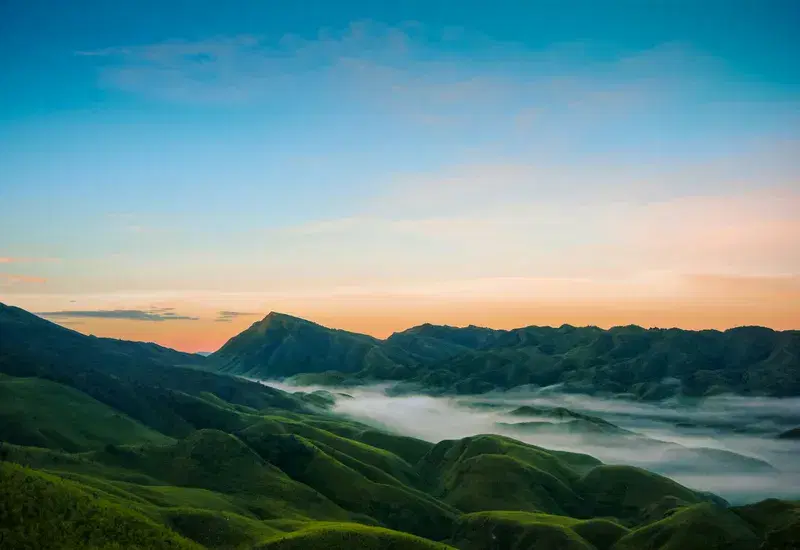 Cover Image for Embracing Nature: Finding Peace in the Great Outdoors