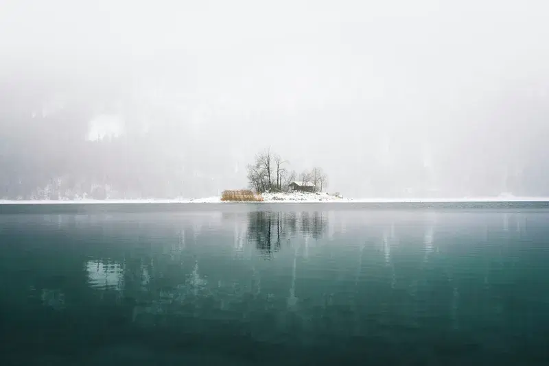 Cover Image for Embracing Nature: Finding Peace in Foggy Mornings