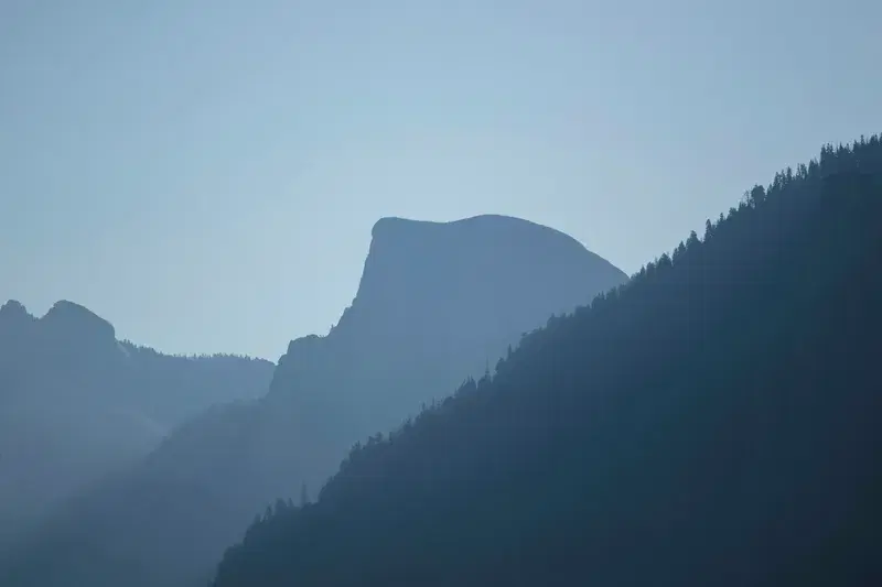 Cover Image for Embracing Nature for Mental Health