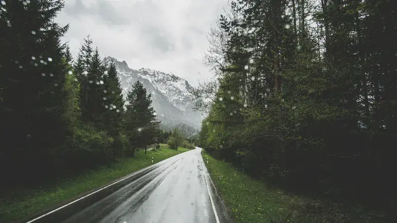 Cover Image for Embracing Nature for Mental Wellness