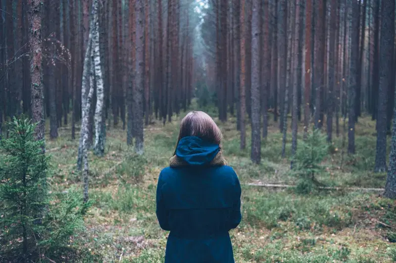 Cover Image for Embracing Nature for Mindfulness and Wellness
