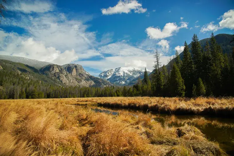 Cover Image for Embracing Nature for Wellness: The Benefits of Outdoor Spaces