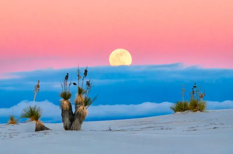 Cover Image for Embracing Nature: The Healing Power of Desert Landscapes