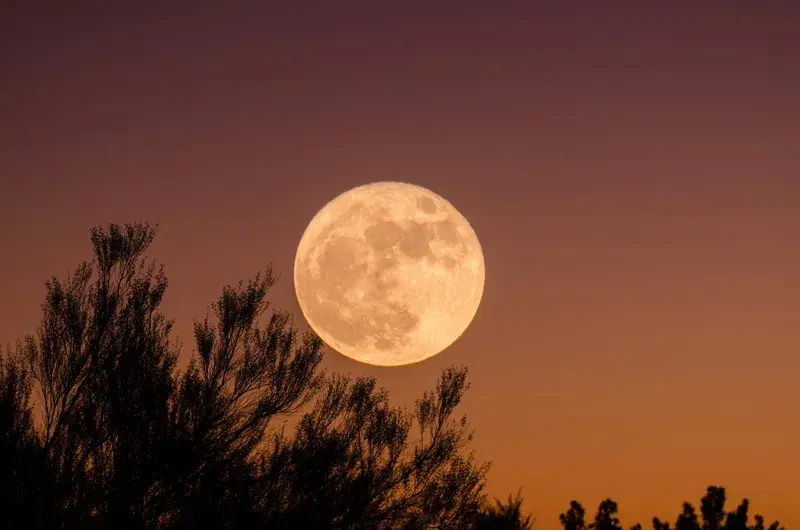 Cover Image for Embracing Nature: The Healing Power of Full Moons