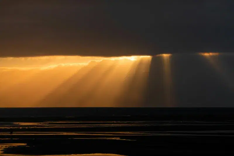 Cover Image for Embracing Nature: The Healing Power of Golden Hour