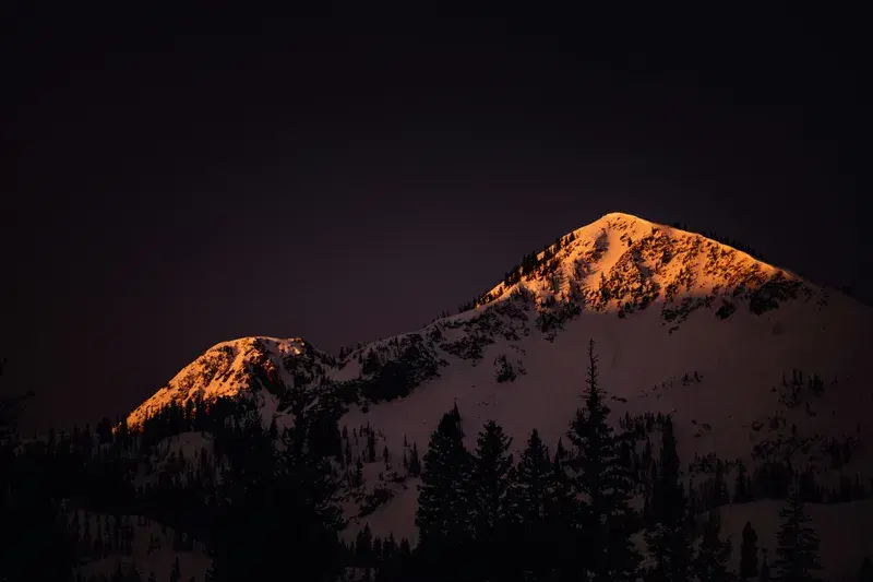 Cover Image for Embracing Nature: The Healing Power of Nighttime Wilderness