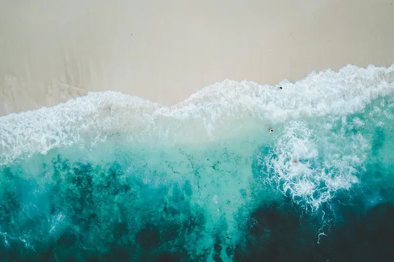 Cover Image for Embracing Nature: The Healing Power of Ocean Waves