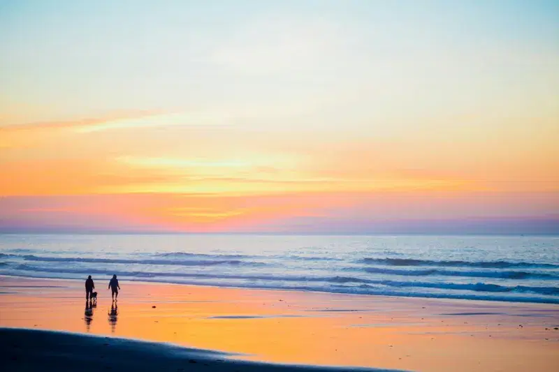 Cover Image for Embracing Nature: The Healing Power of Watching Sunsets