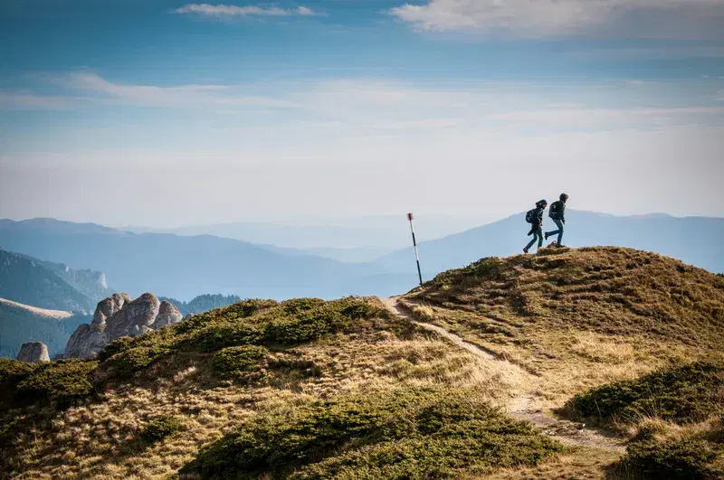 Cover Image for Embracing Nature: The Mental Health Benefits of Hiking