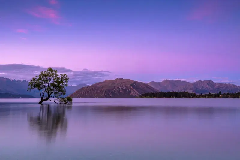 Cover Image for Embracing Nature for Mental Wellbeing