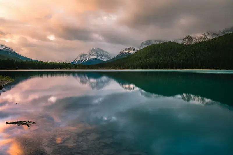 Cover Image for Embracing Nature for Mental Wellness