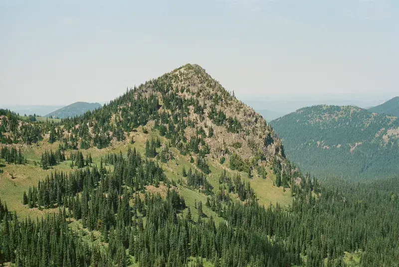 Cover Image for Embracing Nature: The Benefits of Outdoor Experiences for Mental Wellness