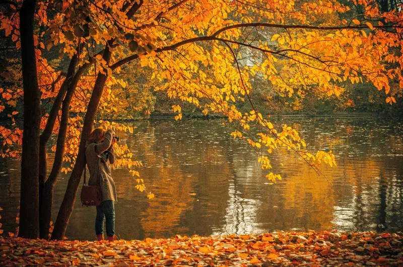 Cover Image for Embracing Nature: The Benefits of Outdoor Spaces for Mental Wellness