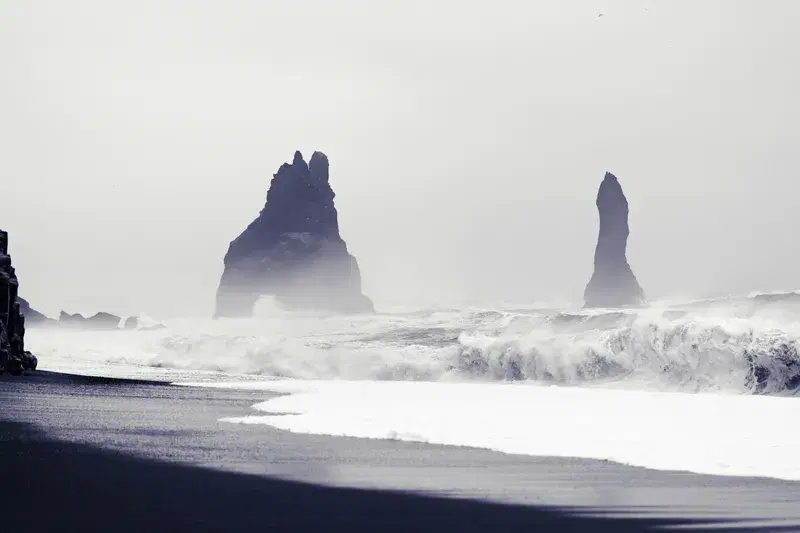 Cover Image for Embracing Nature: Mindful Adventures at the Beach