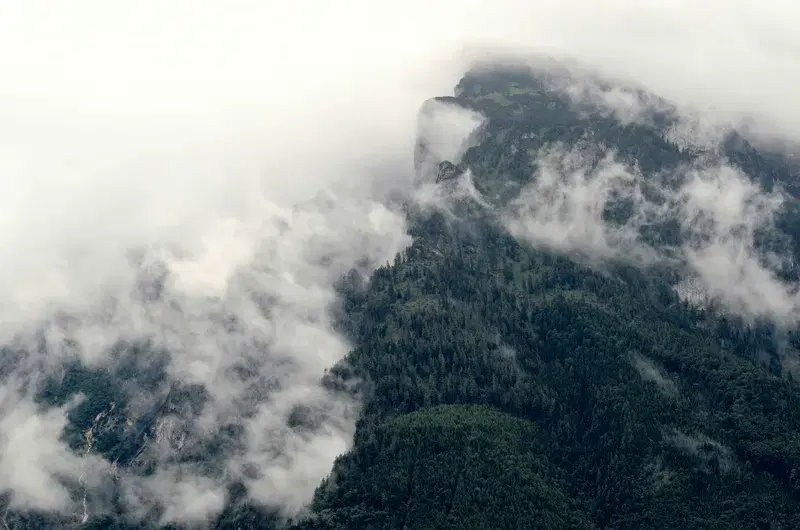 Cover Image for Embracing Nature: The Benefits of Mindfulness in Mountain Landscapes