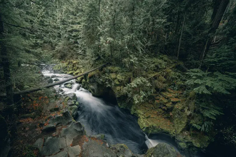 Cover Image for Embracing Nature: The Benefits of Outdoor Mindfulness