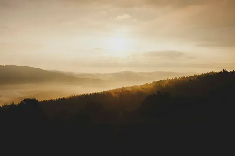 Cover Image for Embracing Nature: How Scenic Landscapes Enhance Your Well-Being