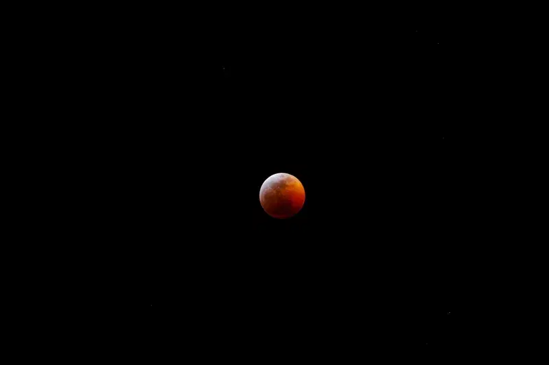 Cover Image for Embracing Nature: The Spiritual Significance of the Super Blood Wolf Lunar Eclipse