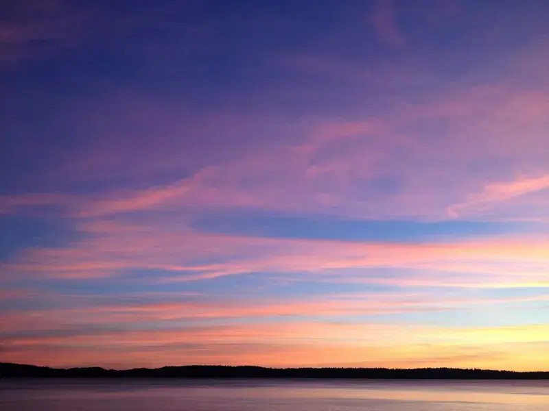 Cover Image for Embracing Nature's Beauty: The Benefits of Outdoor Mindfulness